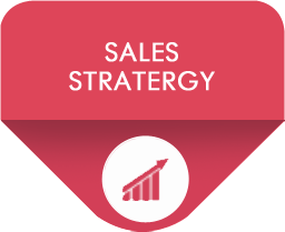 Eagles India - Sales Stratergy